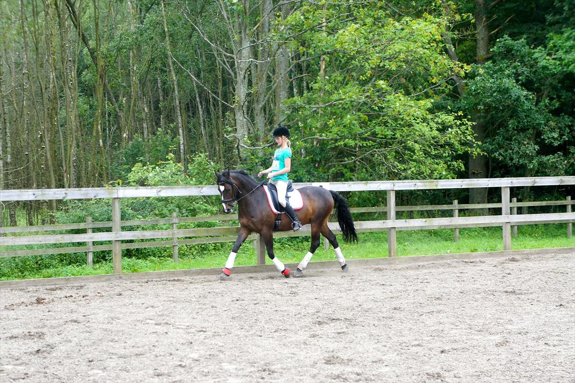 DSP Fontain af Stensnæs billede 3