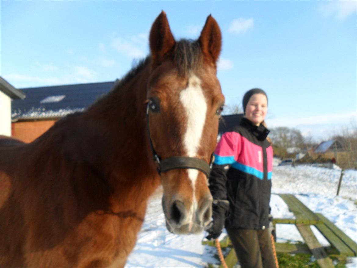 New Forest Wander - Velkommen til Wanders profil <3 billede 1