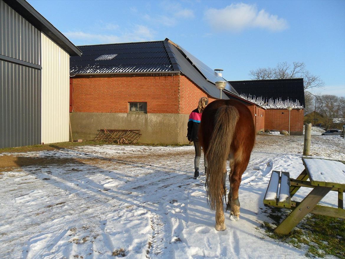 New Forest Wander - Når enden er god er alting godt.
Tak fordi i kiggede med billede 17