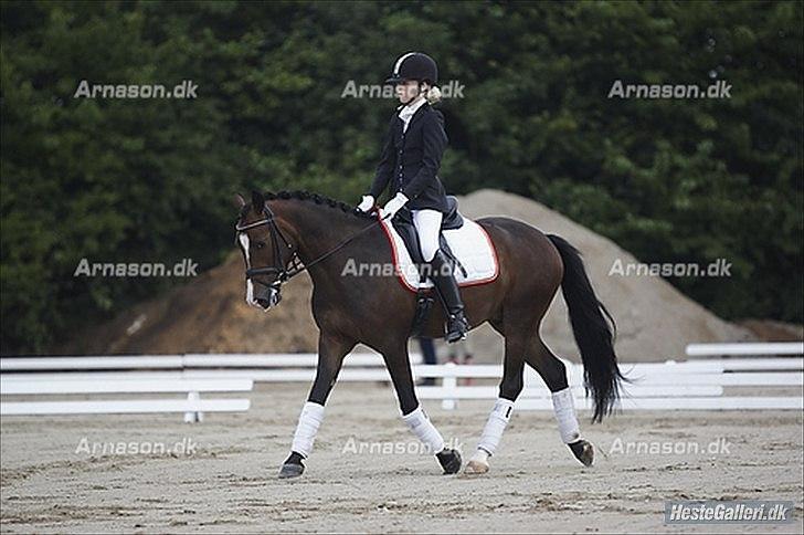 New Forest Romeos Geiger - Solrød hestival vandt klassen med 72% min pony er en stjerne!:-) billede 9