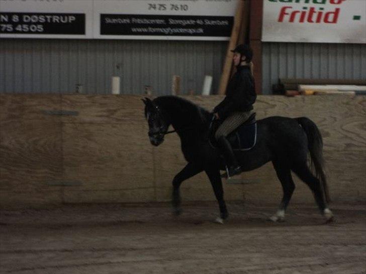 DSP Optimus -Solgt- - undskyld den dårlige kvalitet  billede 7