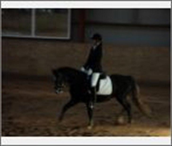 DSP Optimus -Solgt- - Undskyld kvaliteten billede 8