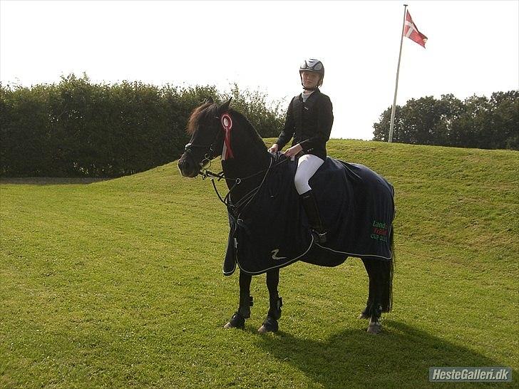 DSP Castella *SOLGT & SAVNET* - vi vandt land & fritid cuppen! :) billede 5