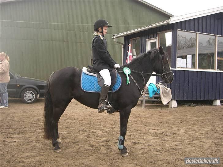 DSP Castella *SOLGT & SAVNET* - vores første lc vi fik en 3. plads :)  billede 6