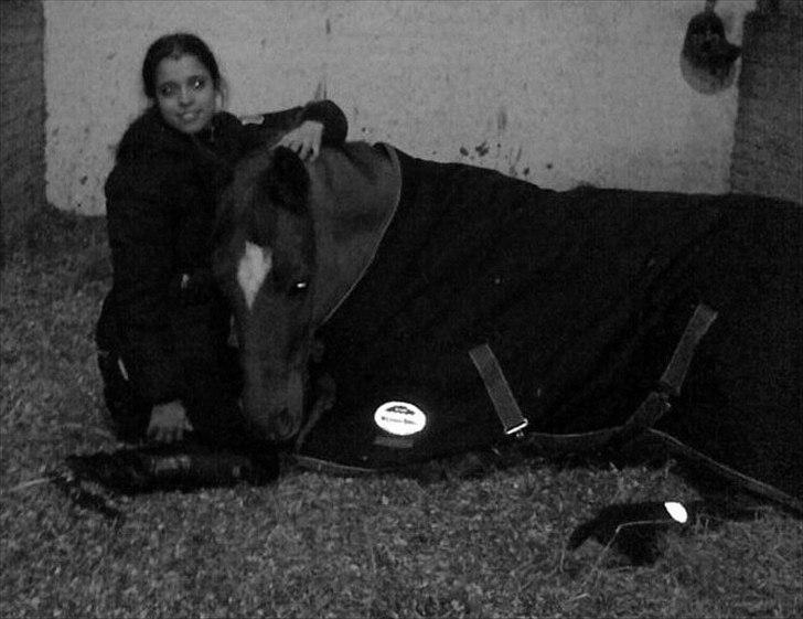 Mecklenburger Paula aka. popo/Guldklump - even heaven is hell without you ♥
 billede 20