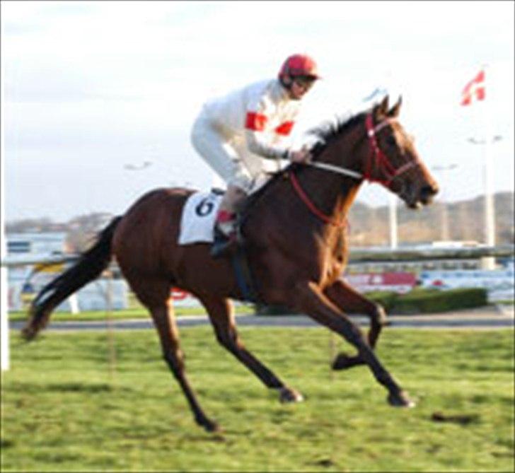 Fuldblod (XX) Colour Blind (Ire) - Colour på gallopbanen. billede 6