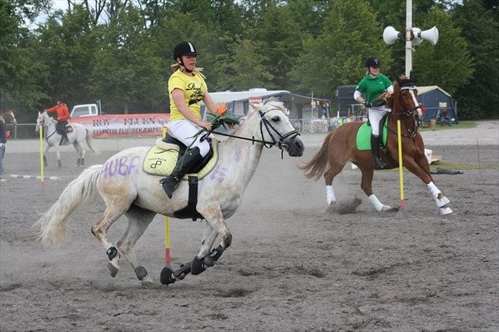 Anden særlig race Huba <3 *STJERNEN* R.I.P <3<3<3 - DM i pony - games på Vilhelmsborg i 2011. Vi vandt og blev damarksmester <3<3 :)  billede 15