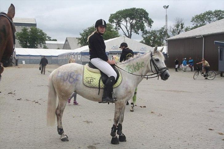 Anden særlig race Huba <3 *STJERNEN* R.I.P <3<3<3 - DM i pony - games på Vilhelmsborg i 2011. Vi vandt og blev damarksmester <3<3 :) 1000 Tak Huba for det du har givet mig <3<3<3
 billede 16