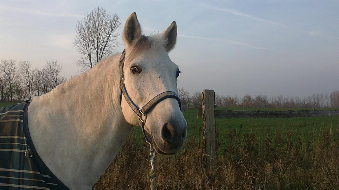 Anden særlig race Huba <3 *STJERNEN* R.I.P <3<3<3 - Velkommen til Huba :) billede 2