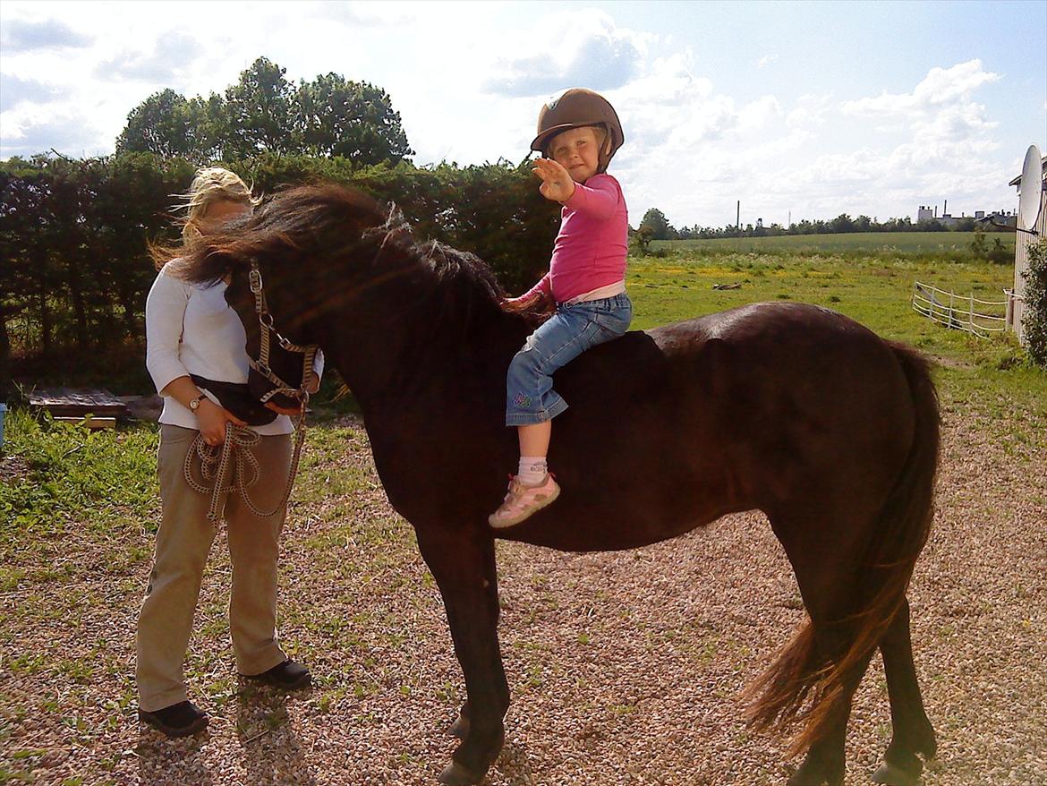 Anden særlig race frida billede 20