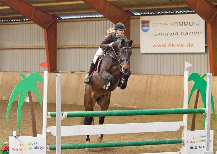 Holstener Carlos "Solgt til USA" - 
Seje Don Carlos Bandidos <3 <3 første spring i hovedrunden til vores første stævne ;) 
-Skive Rideklub 05/02-2012 billede 4