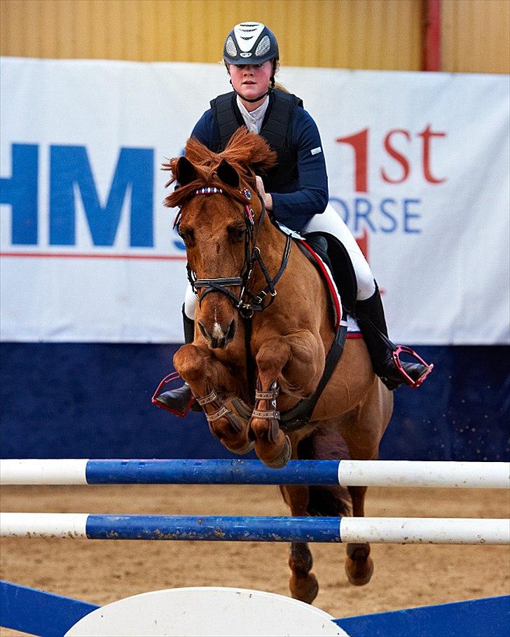 DSP Flying Rex - 10) B-stævne på HIllerød Sportsrideklub, LA**, Februar 2012. FOTO: Animal-print.dk billede 10