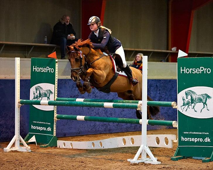 DSP Flying Rex - 14) B-stævne på Hillerød Sportsrideklub, MB*, Februar 2012. FOTO: Animal-print.dk billede 14