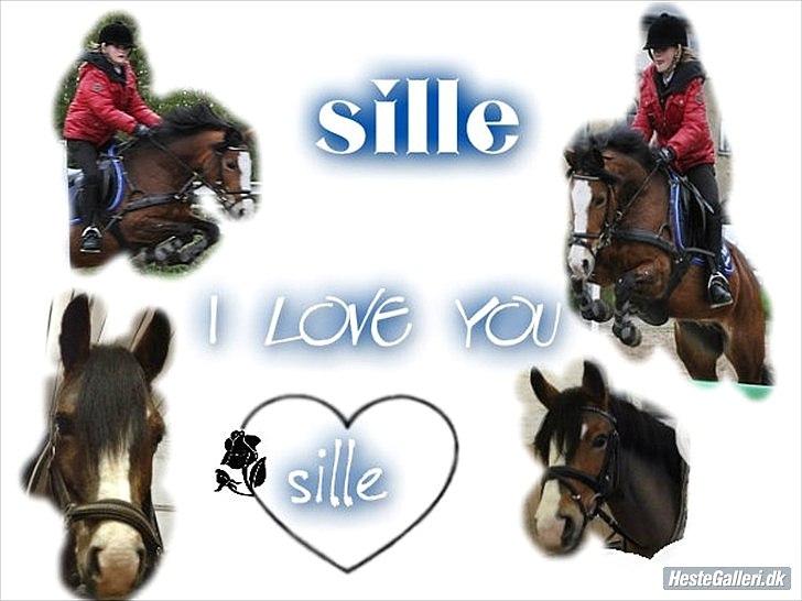 New Forest sille - Sille, jeg elsker dig af hele mit hjerte!<333333333
 billede 17