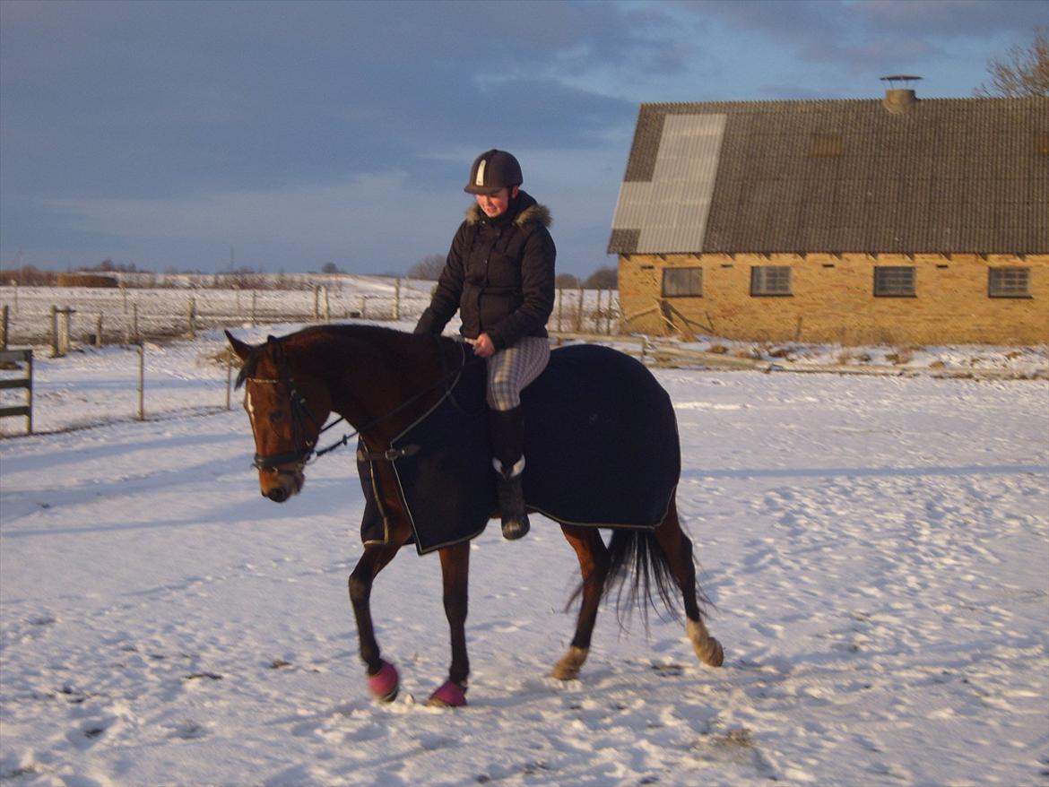 Traver Openminded (Tøsen) - Tøsen og jeg, hun går til bidet mens vi hygger :) billede 17