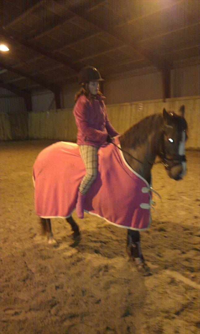 New Forest Siggegårdens Madonna solgt  - pink er lige os.  billede 2