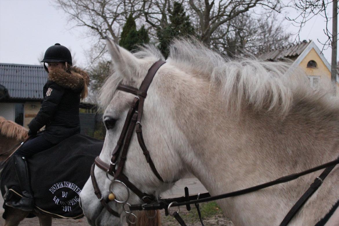 Anden særlig race Bounty - Dejlige Bounty<3 billede 1