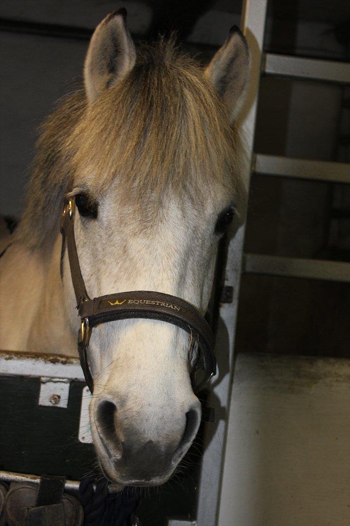 Anden særlig race Bounty - Nuttet kan man også være<3 billede 2