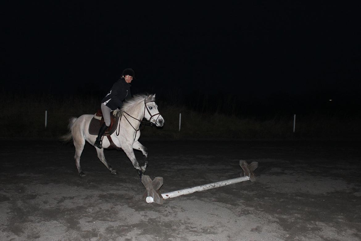 Anden særlig race Bounty - Weeeee!<3 billede 3