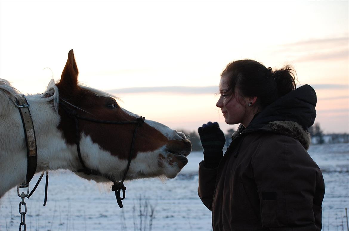 Pinto Nikita  - Den bedste !:* billede 12