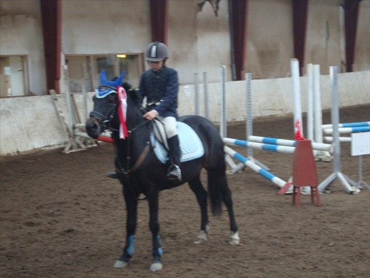 Anden særlig race camilla - står vi ikke flot billede 2