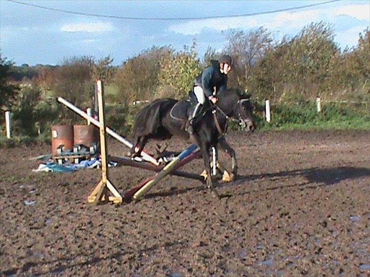 Anden særlig race camilla billede 3