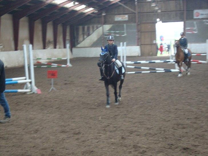 Anden særlig race camilla - min første roset. billede 1