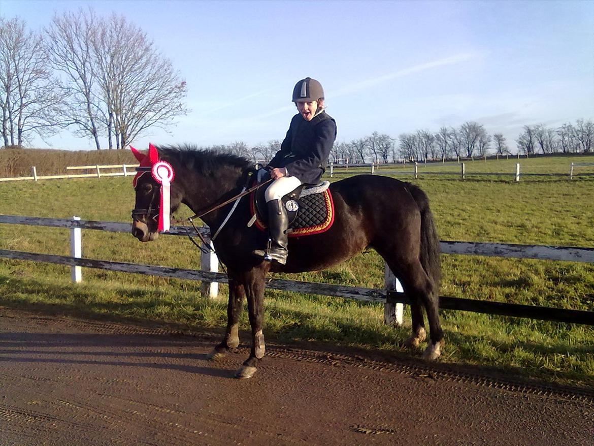 Anden særlig race camilla billede 5