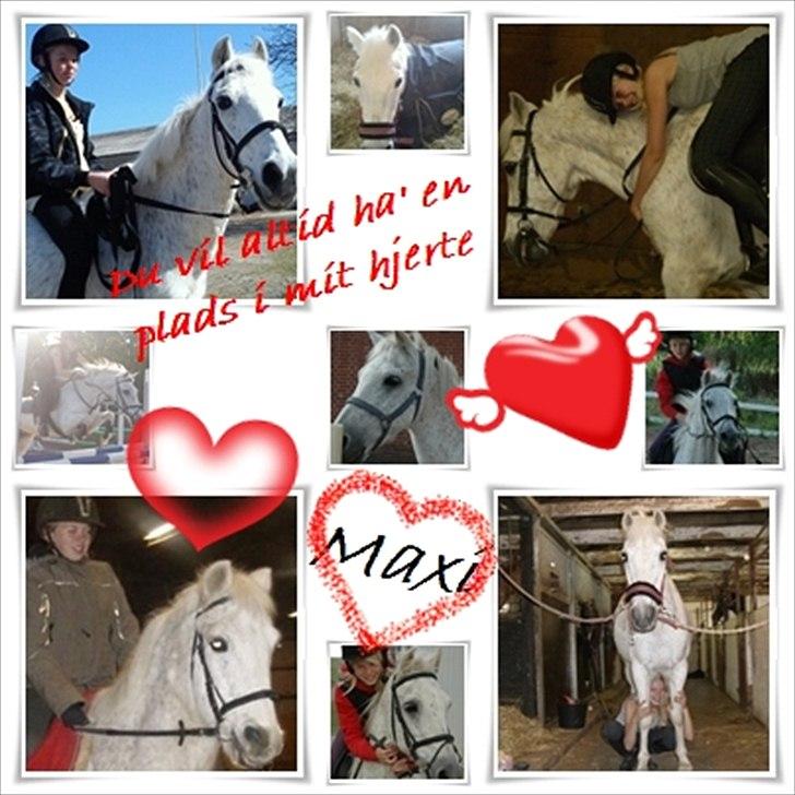 Anden særlig race Maxi - Jeg elsker dig forevigt maxi <3 billede 1