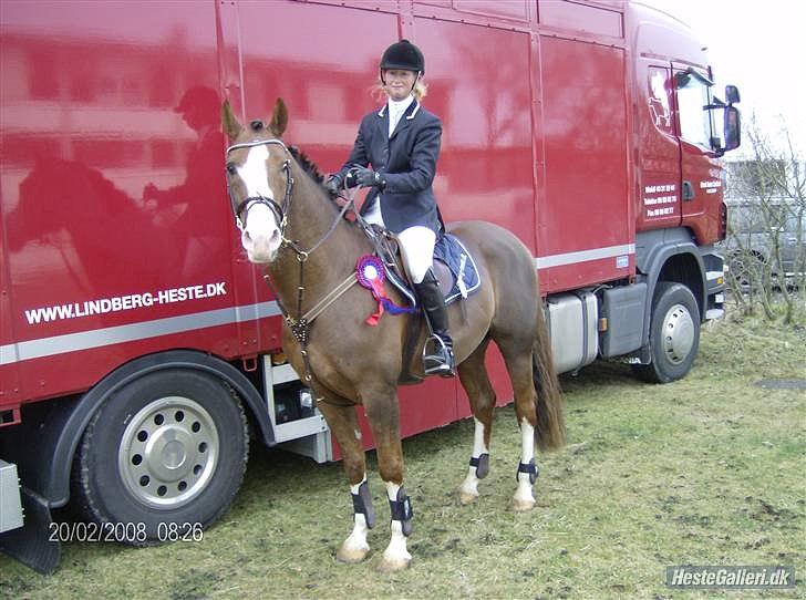 Anden særlig race Revall - sidste billede af revall for 3 år siden  billede 3