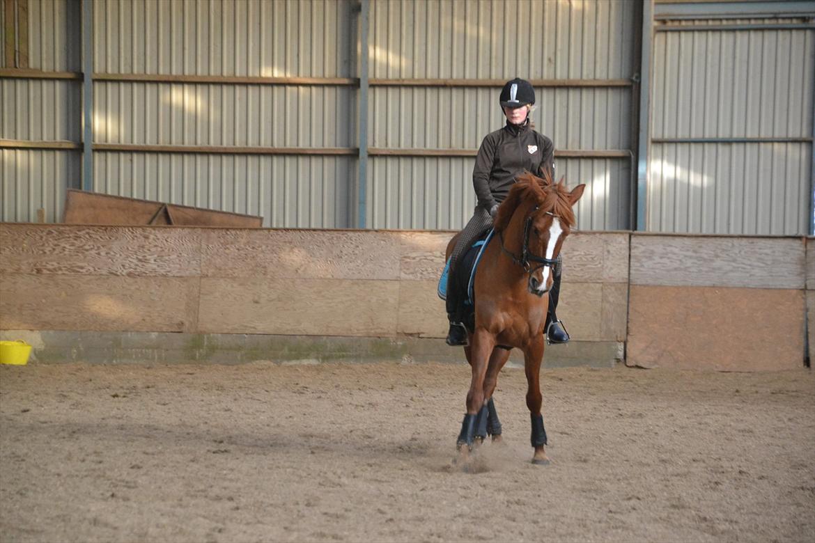 Anden særlig race Miss Mabel :-* - schenkelvigning, vi prøver i hvert fald :-D billede 4