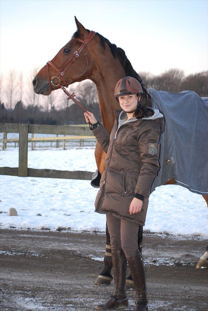 Holstener Little Casey - Velkommen til min nye prinsesse! 
- første dag med hende <3 billede 1