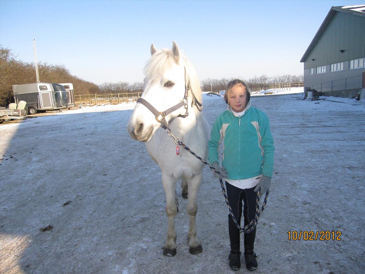 Anden særlig race Cornelius billede 6