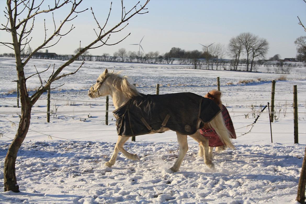 Anden særlig race Thorsvang´s Bella :-) - min lille prinsesse 

Foto: Mig billede 14