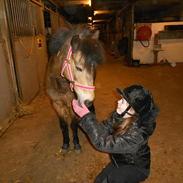 Anden særlig race luna(rideskolehest)