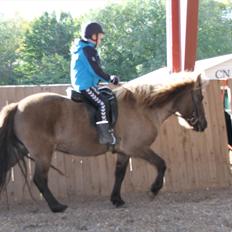 Islænder Sif fra allinge 