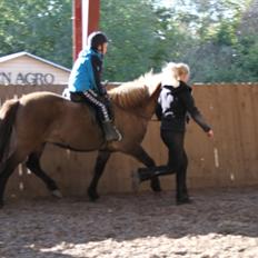 Islænder Sif fra allinge 