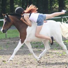 Anden særlig race Revy<3