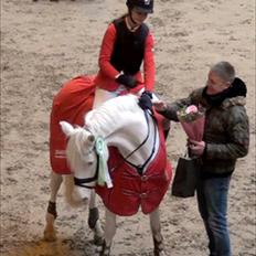 Connemara Enghøjs Quincy Blue