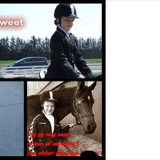 Anden særlig race Dixie My Soulmate <3