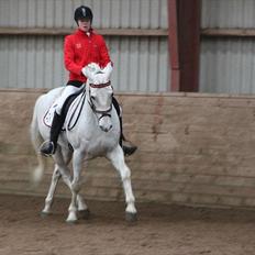 Anden særlig race Mr. Rubin Hurricane Carter B-Pony