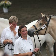 Fjordhest Birkens Hailey