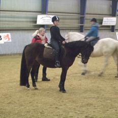 Anden særlig race Dixie My Soulmate <3