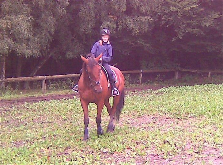 Traver Magic one - Skulle tro det var dressur billede 4