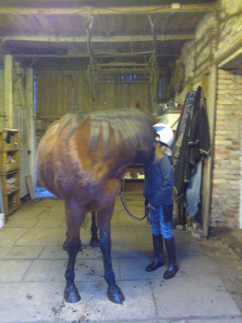 Traver Magic one - bøjeøvelser billede 6