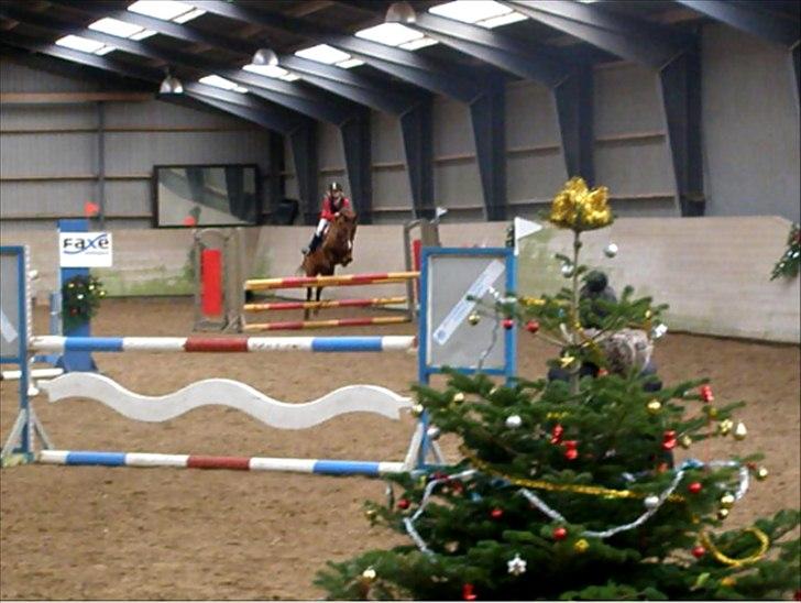 DSP Nørlunds Sacha - Kan du stave ' Overskud '!!
Tjek lige min mega blærede pony! :-D <3
LA påå ØSR. :-))) <3 billede 12