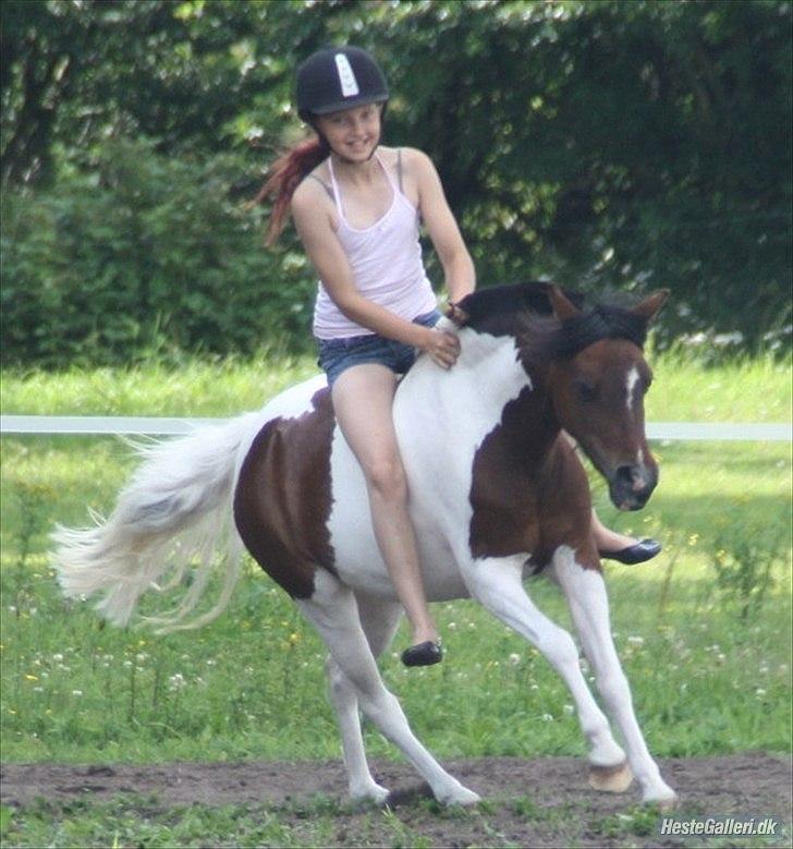 Anden særlig race Revy<3 billede 6