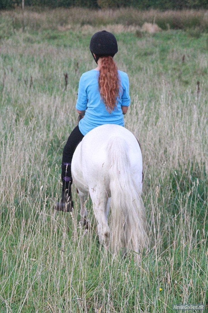 Anden særlig race Revy<3 billede 11