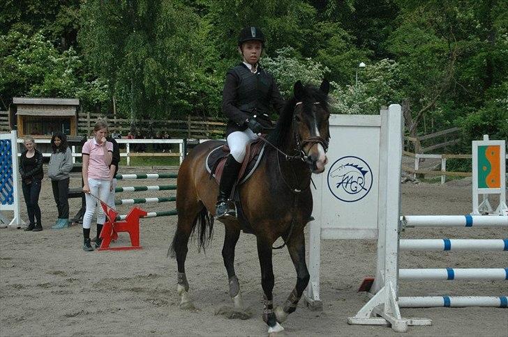 New Forest Margo<3 - One love<3 billede 20