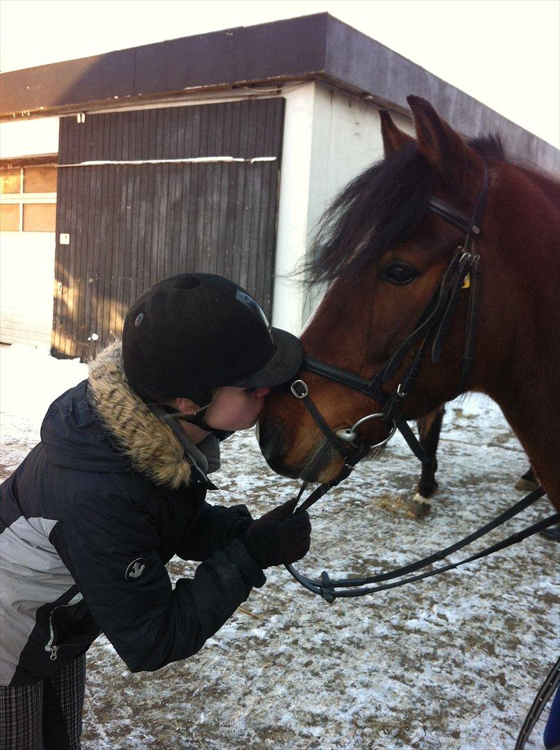 Anden særlig race Basil - Min dejlige bassemand ude i det dejlige vejr inden ridetime (-: billede 1